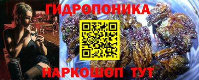 мдпв Лесосибирск
