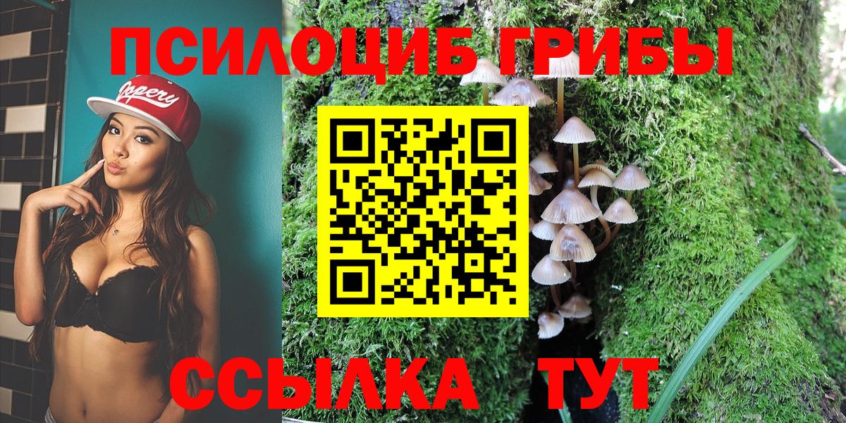 Среднеуральск  Галлюциногенные грибы Psilocybe  Вход с VPN 